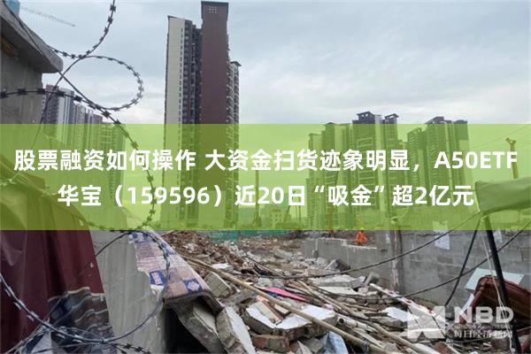 股票融资如何操作 大资金扫货迹象明显，A50ETF华宝（159596）近20日“吸金”超2亿元