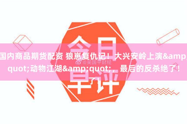 国内商品期货配资 狼崽复仇记！大兴安岭上演&quot;动物江湖&quot;，最后的反杀绝了！