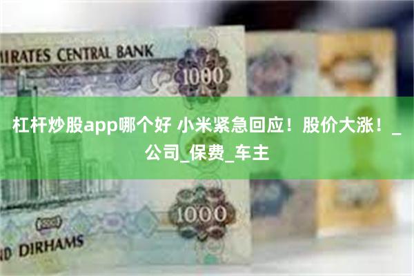 杠杆炒股app哪个好 小米紧急回应！股价大涨！_公司_保费_车主