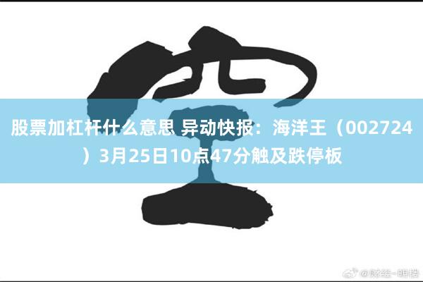 股票加杠杆什么意思 异动快报：海洋王（002724）3月25日10点47分触及跌停板