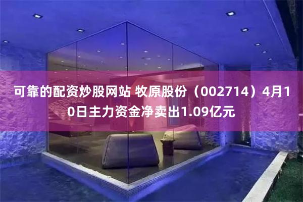 可靠的配资炒股网站 牧原股份（002714）4月10日主力资金净卖出1.09亿元
