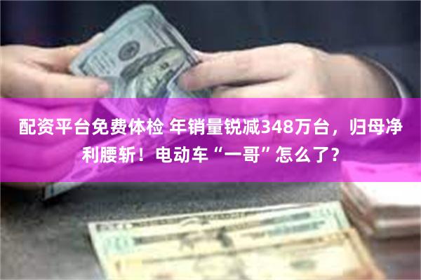 配资平台免费体检 年销量锐减348万台，归母净利腰斩！电动车“一哥”怎么了？