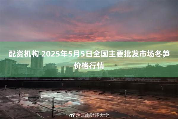 配资机构 2025年5月5日全国主要批发市场冬笋价格行情