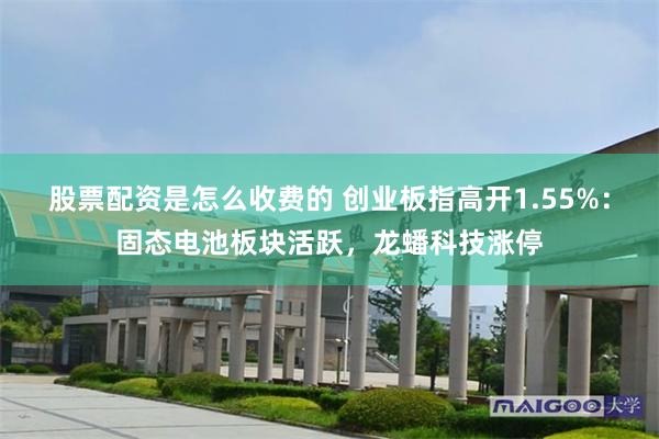股票配资是怎么收费的 创业板指高开1.55%：固态电池板块活跃，龙蟠科技涨停