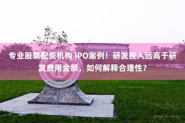 专业股票配资机构 IPO案例！研发投入远高于研发费用金额，如何解释合理性？