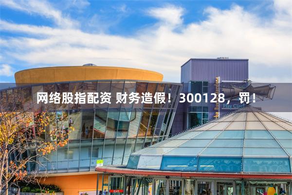 网络股指配资 财务造假！300128，罚！