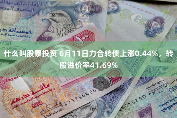 什么叫股票投资 6月11日力合转债上涨0.44%，转股溢价率41.69%