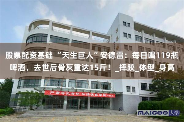 股票配资基础 “天生巨人”安德雷：每日喝119瓶啤酒，去世后骨灰重达15斤！_摔跤_体型_身高