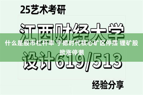 什么是股市杠杆率 宁德时代核心矿区停摆 锂矿股掀涨停潮