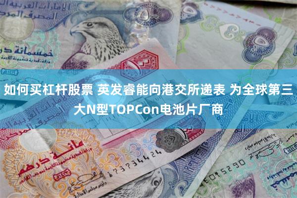 如何买杠杆股票 英发睿能向港交所递表 为全球第三大N型TOPCon电池片厂商