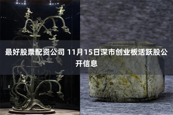 最好股票配资公司 11月15日深市创业板活跃股公开信息